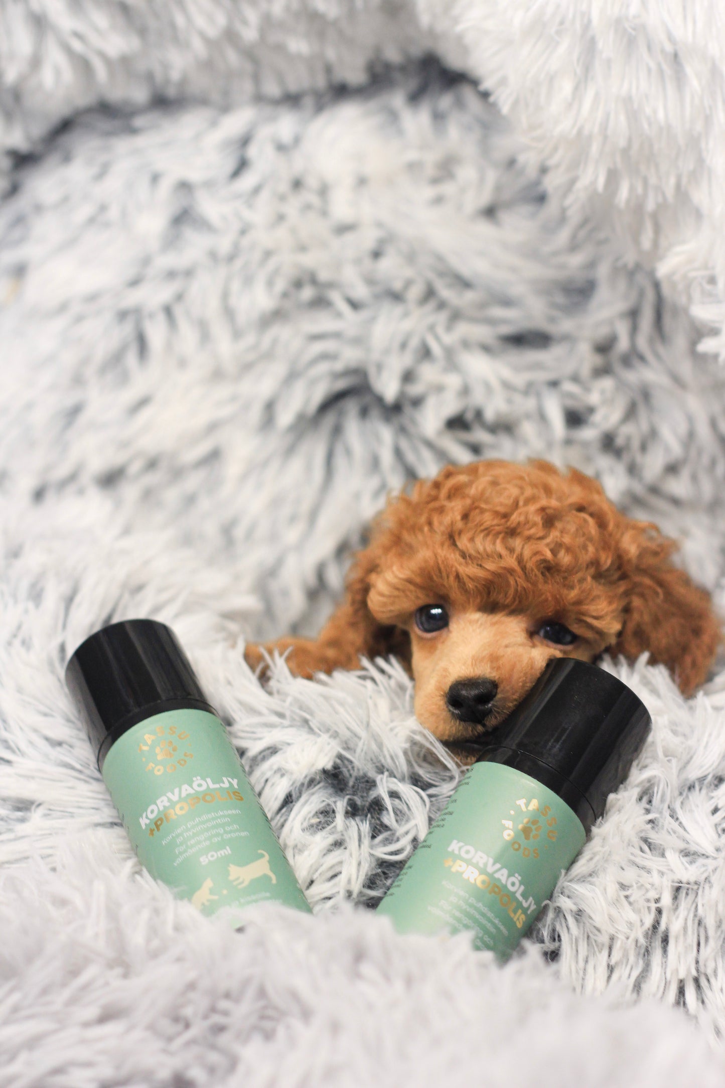 Korvaöljy + Propolis 50ml