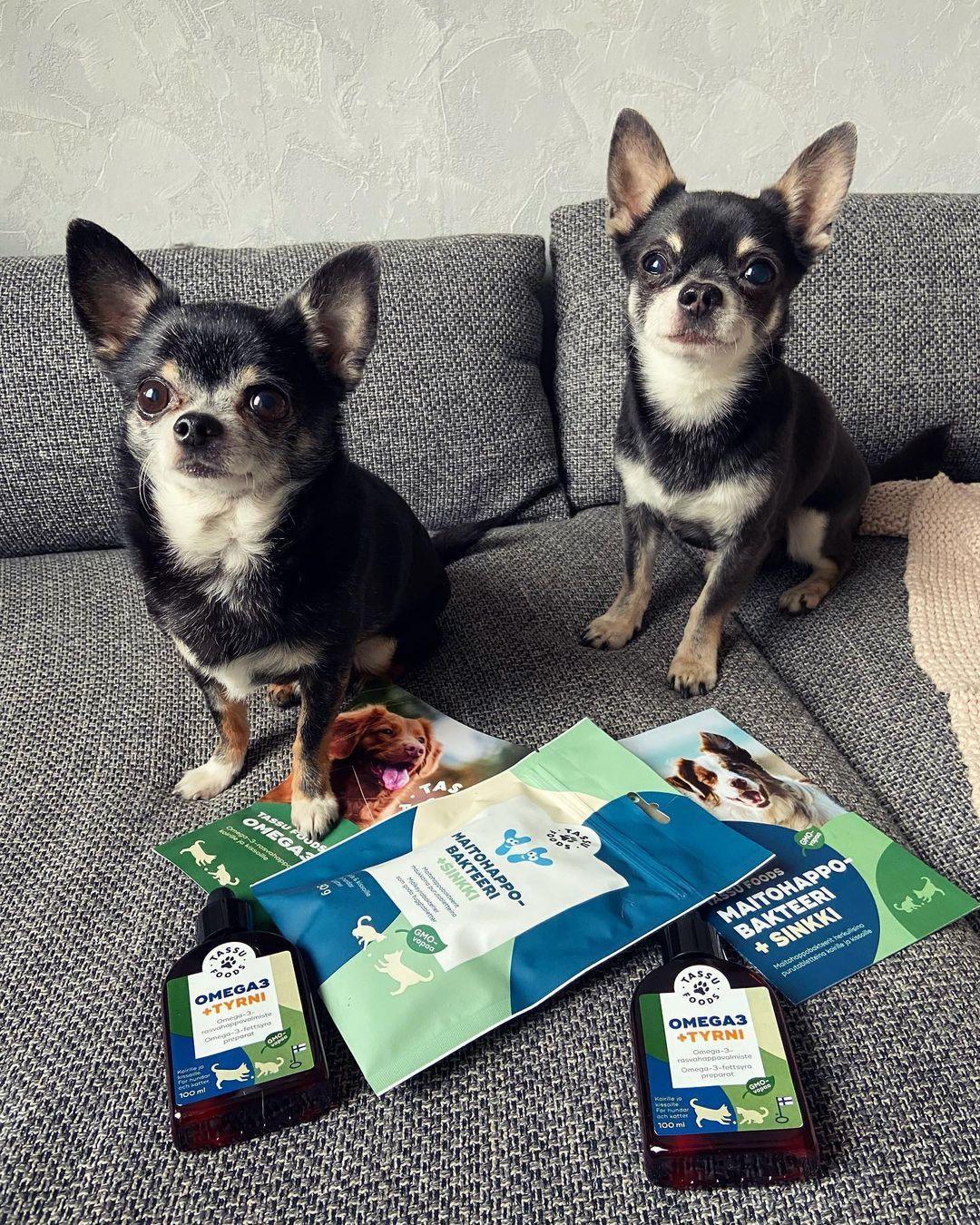 Kombotarjous: Omega-3 + tyrni 200ml + Maitohappobakteeri - Tassu Foods Oy