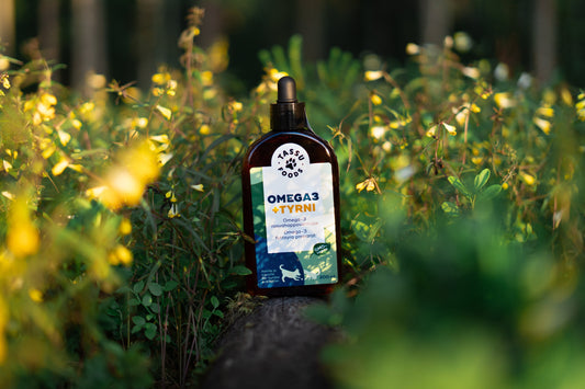 Koirasi käy ylikierroksilla tai sulkeutuu? Syy voi löytyä ruokakupista;  5 lemmikkiä – 5 tarinaa siitä, miten omega-3 muutti kaiken