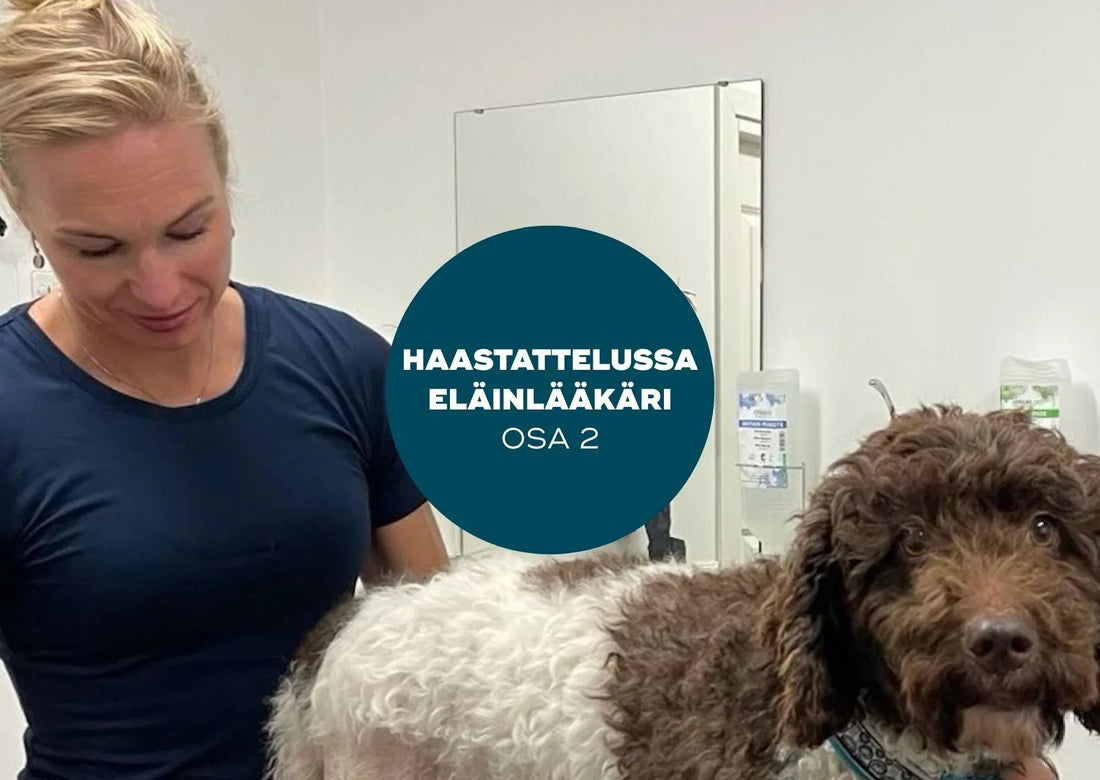 Ortopedian ammattilainen eläinlääkäri Laura Asplund-Rusi jakaa asiantuntemuksensa (OSA2)