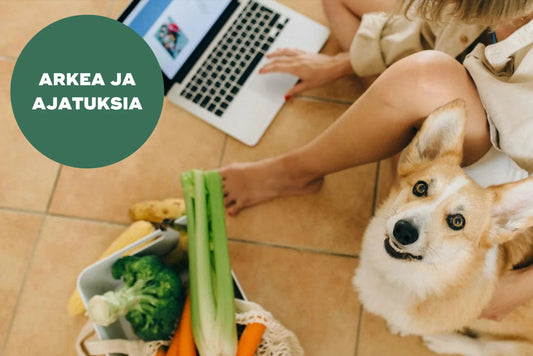 Miten tukea oman koiran suoliston terveyttä?