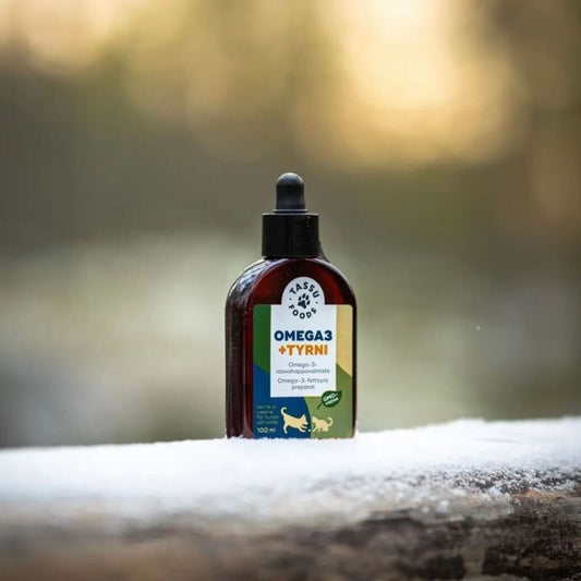 Ruokaa on, mutta ravintoa puuttuu. Tutkimus kertoo, kuinka vakavaa on omega-3-rasvahappojen puute lemmikin ruokavaliossa