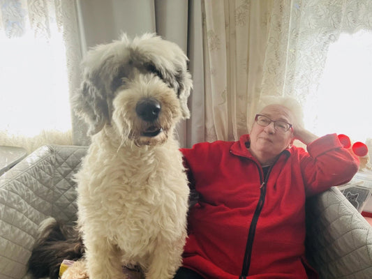 Johdonmukaisuus kunniaan – ja korvavaivat ojennukseen!