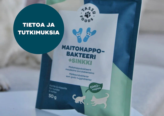 Maitohappobakteeri lemmikille
